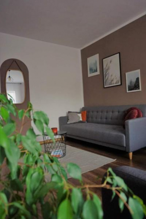 Cozy Apart Toplita